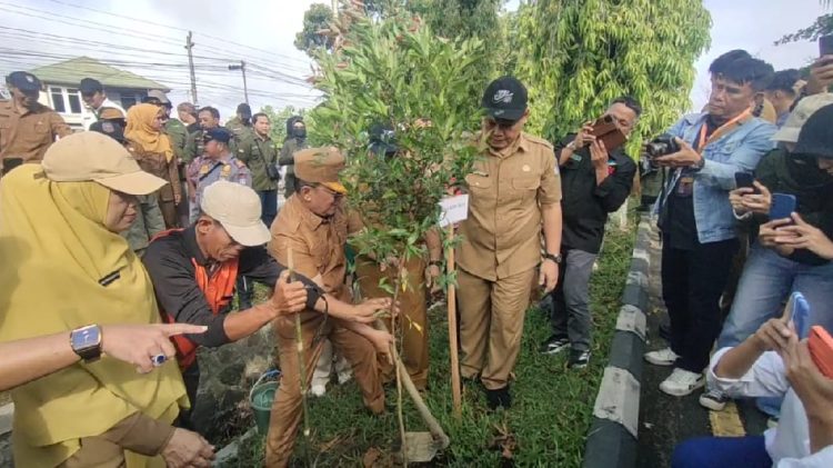 Terkait Viral Lahan Mangrove Di Desa Kubu, Ini Penjelasan Bupati Sujiwo