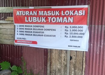 Tambang Emas Ilegal Ketapang: Antara Pembiaran dan Ketidak berdayaan Aparat