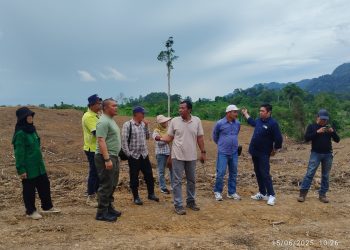 PT BNS Dapat Kepercayaan Kerjakan Proyek Land Clearing di Lahan PT TRH