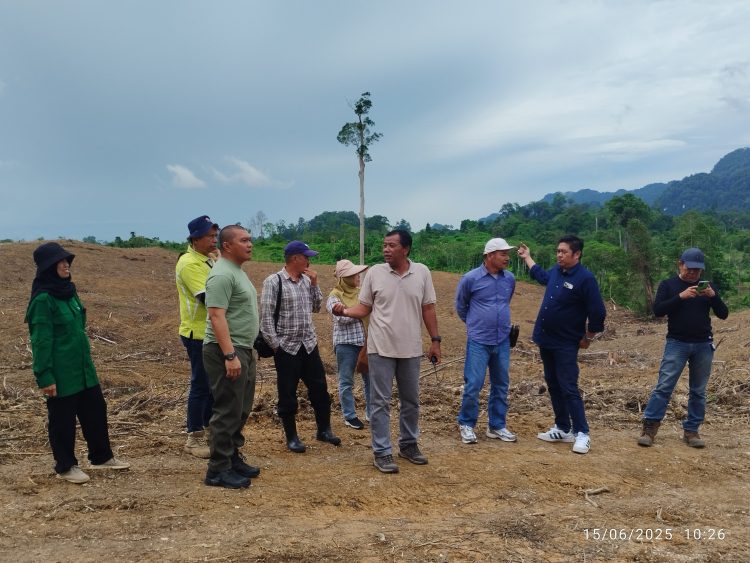 PT BNS Dapat Kepercayaan Kerjakan Proyek Land Clearing di Lahan PT TRH