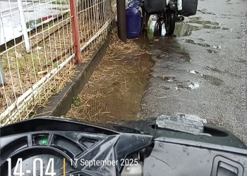 Pertamina Dan APH Harus Bertindak Tegas Kepada Pemilik SPBU, Jangan Tajam Kebawah Tumpul Diatas