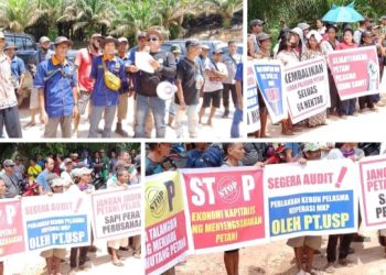 Kopbun MKP Bersama 4 Desa Mendemo PT. USP