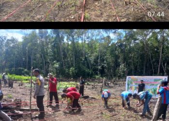 Bhabinkamtibmas Polsek Menyuke Hadiri Kegiatan Penanaman Jagung Serentak 1 Desa 1 Hektar Di Desa Sungai Lubang