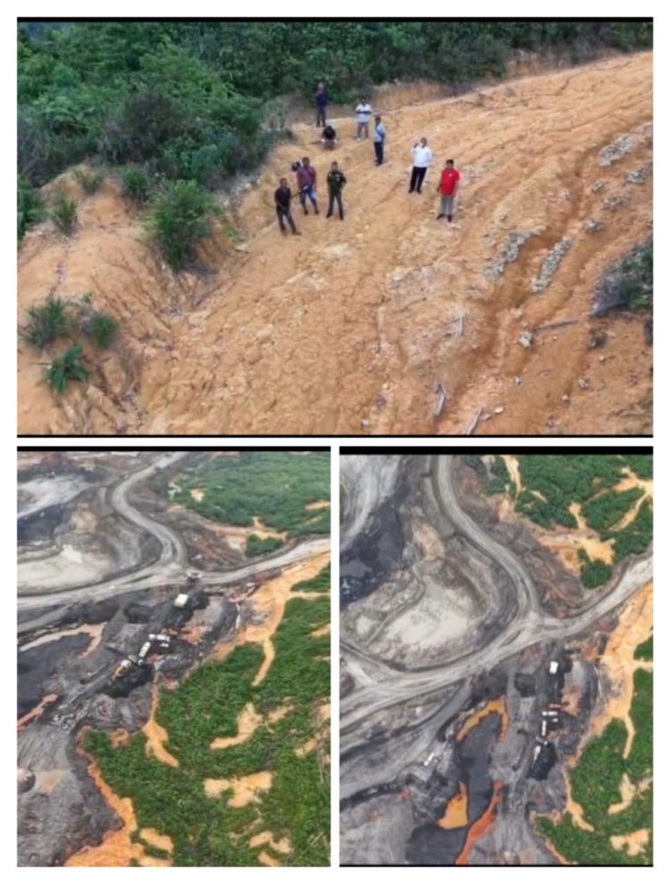 Ketua Umum AKPERSI Bongkar Fakta Lapangan: Aktivitas Tambang Diduga Berjalan di Atas Lahan Petani, PT Berau Coal Klaim Belum Digunakan