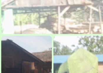 Pemilik Usaha Marah Dengan Wartawan dan LSM Yang Melakukan Investigasi